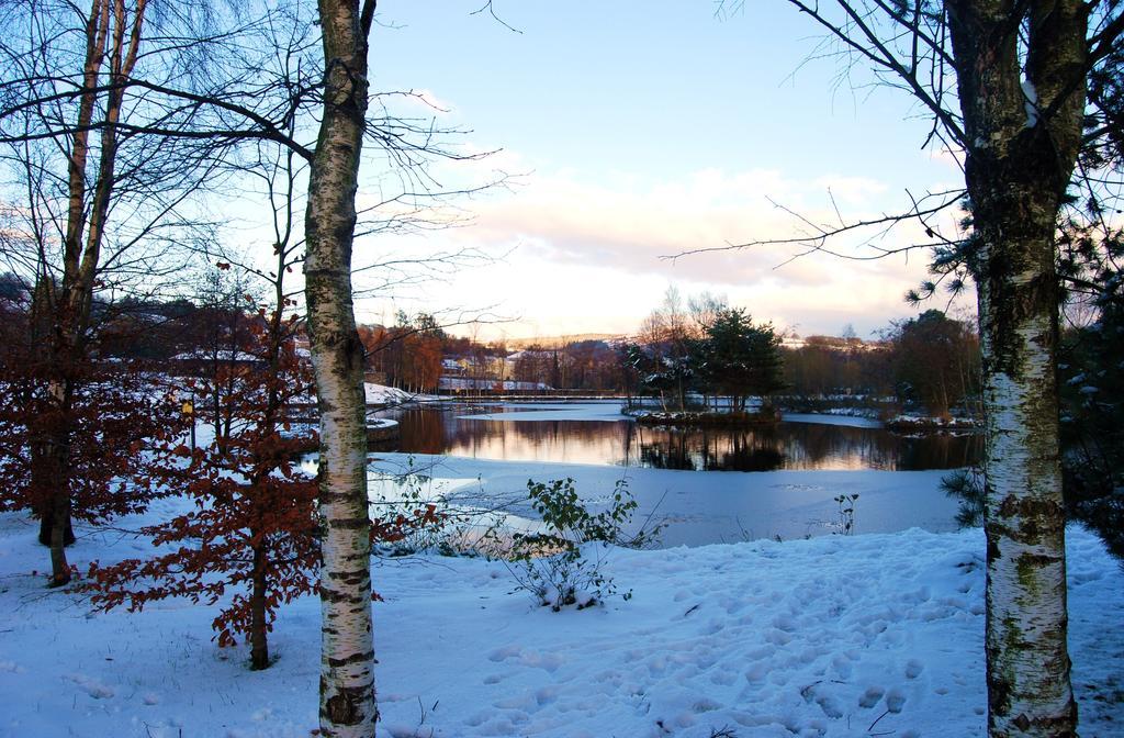 27 Aughrim Holidays Villa Eksteriør bilde